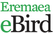 Eremaea eBird